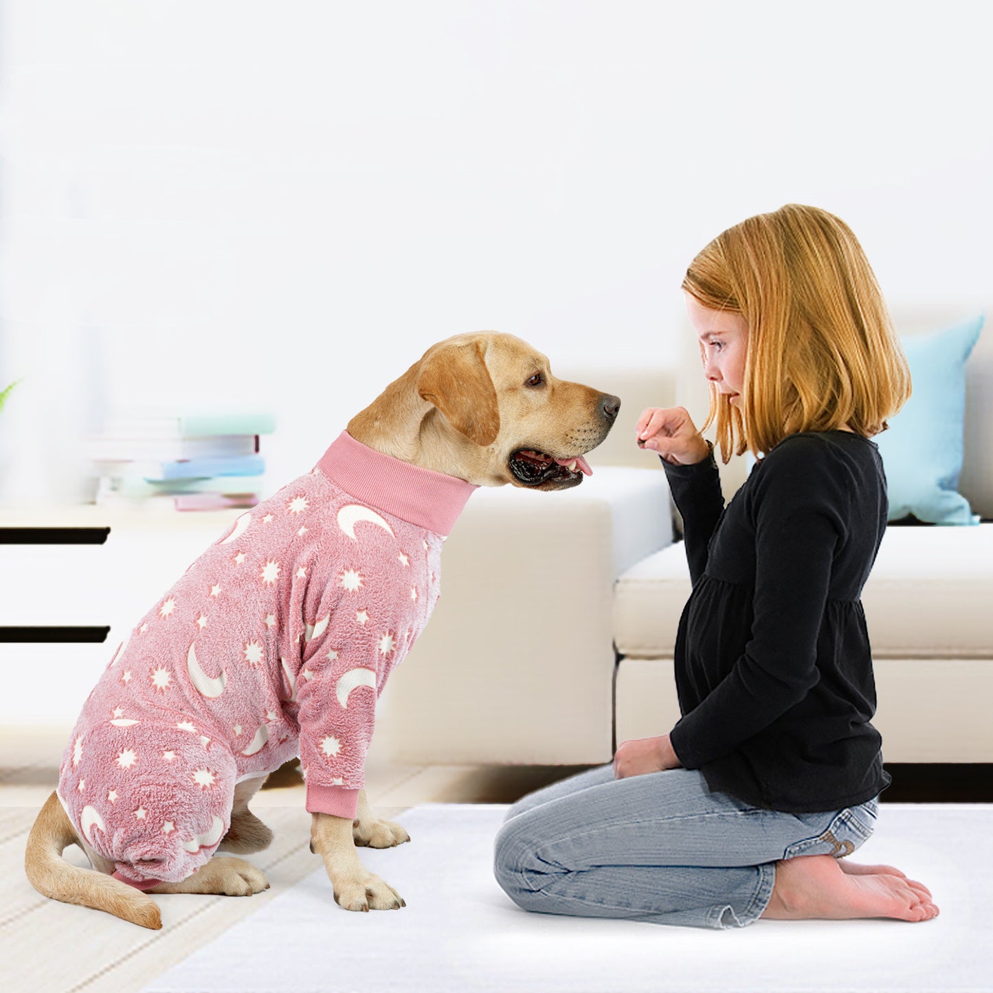 New Winter Dog Pajamas And Pet Products